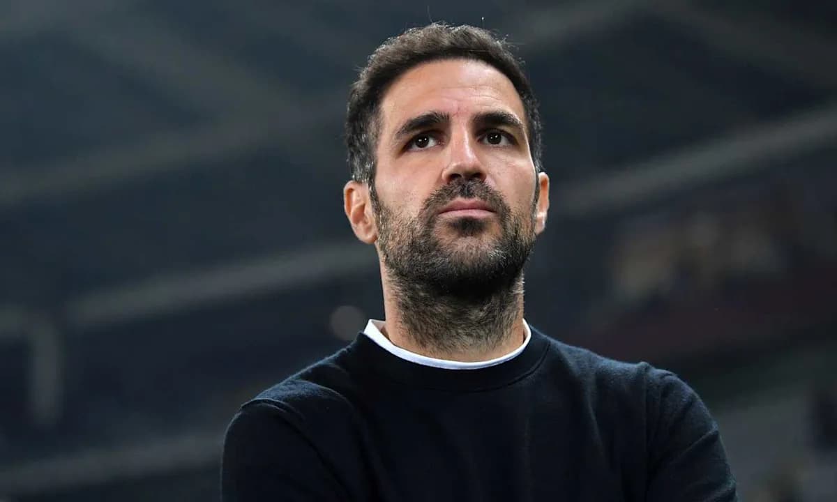 Hombre en la grada observando un partido de fútbol