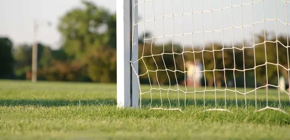 Portería de fútbol con césped de fondo