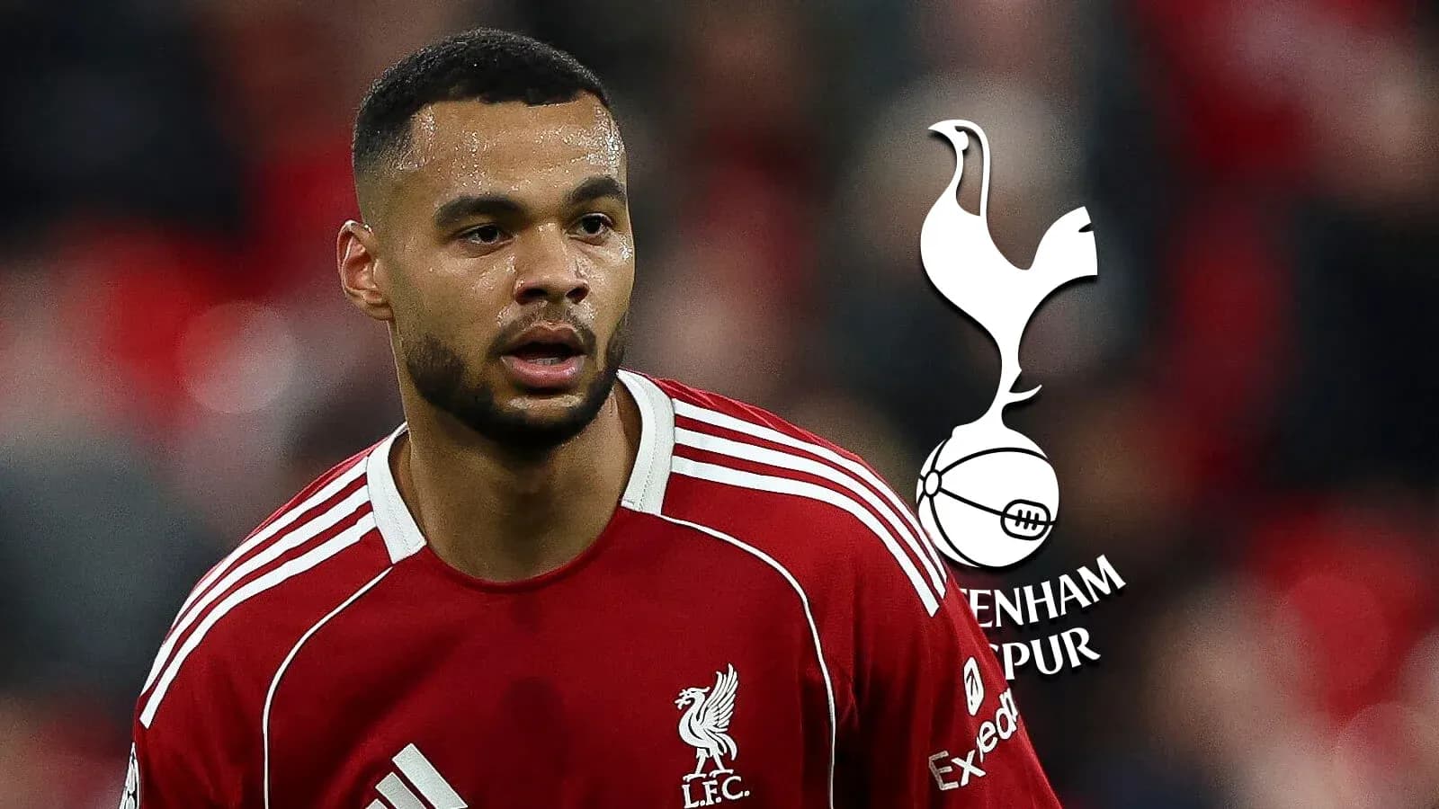 Jugador de Liverpool en acción durante un partido Jugador de Liverpool en acción durante un partido